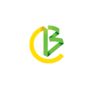 Brasilcard logo.png